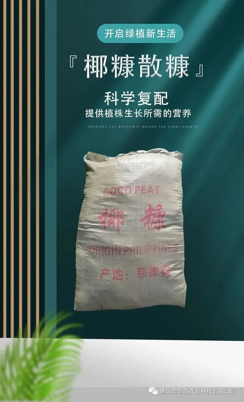 散装椰康